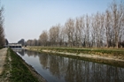 Canale Vacchelli - localit Marzano/Bocchi, nel comune di Merlino (Lodi)