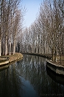 Canale Vacchelli - localit Tombe Morte, nel comune di Genivolta (Cremona)