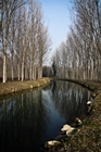 Canale Vacchelli - località Tombe Morte, nel comune di Genivolta (Cremona)