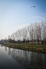 Canale Vacchelli - località Marzano/Bocchi, nel comune di Merlino (Lodi)