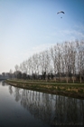 Canale Vacchelli - localit Marzano/Bocchi, nel comune di Merlino (Lodi)